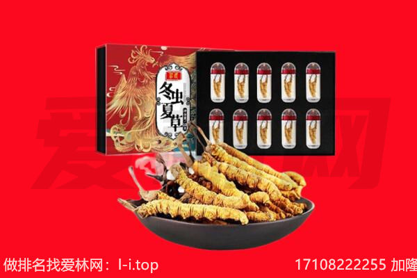 南海区回收虫草.jpg